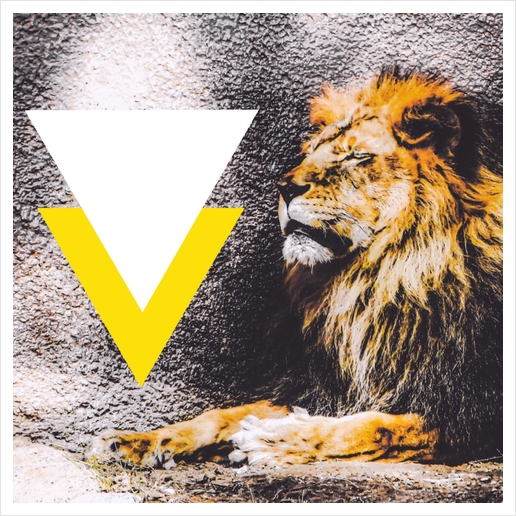 lion with white and yellow triangle  Art Print by Timmy333