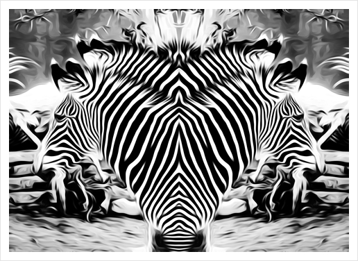 drawing and painting zebras in black and white Art Print by Timmy333