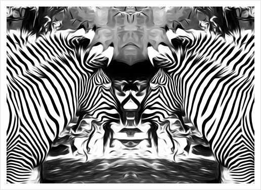 zebras in black and white Art Print by Timmy333