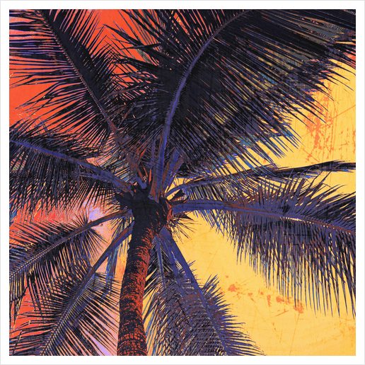  Palm Tree Sunset Art Print by Irena Orlov