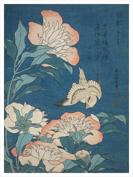 Peonies and Canary Art Print by Katsushika Hokusai