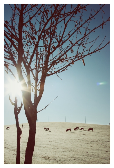 Tree and Cows Art Print by Salvatore Russolillo