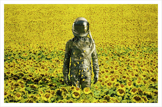 Stranded in the sunflower field Art Print by Seamless