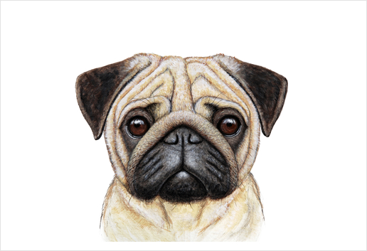 Pug Art Print by Nika_Akin