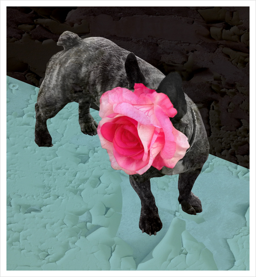 Romantic French Bulldog Art Print by Ivailo K