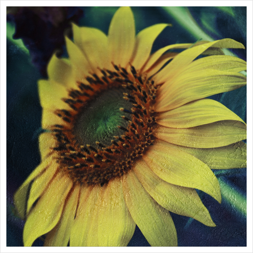 Sunflower Art Print by VanessaGF