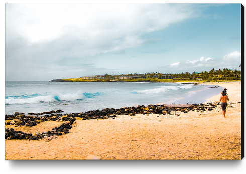 beach with blue wave and blue sky at Kauai, Hawaii, USA Canvas Print by Timmy333