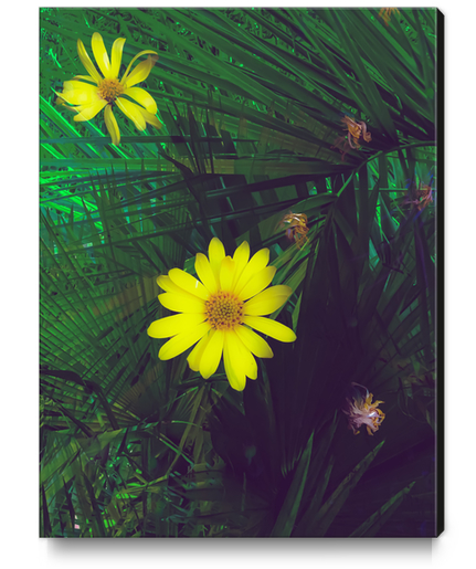 Blooming yellow flowers with green palm leaves background Canvas Print by Timmy333