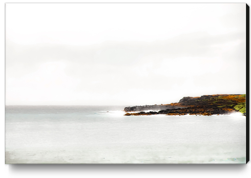 foggy and calm beach view at Kauai, Hawaii, USA Canvas Print by Timmy333