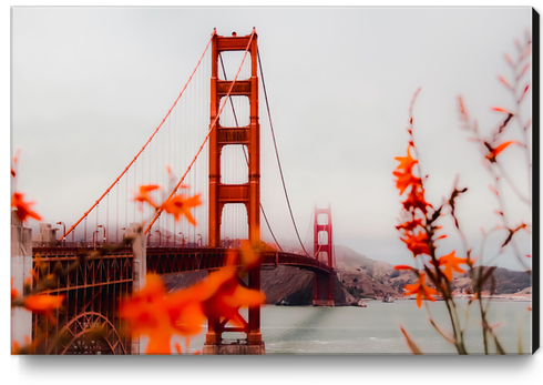 At Golden Gate bridge San Francisco California USA Canvas Print by Timmy333