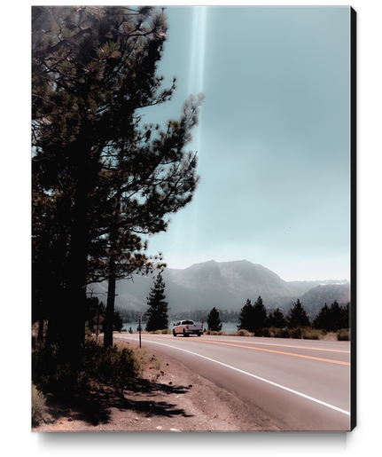 Road with pine tree and mountain view at Mammoth Lakes California Canvas Print by Timmy333