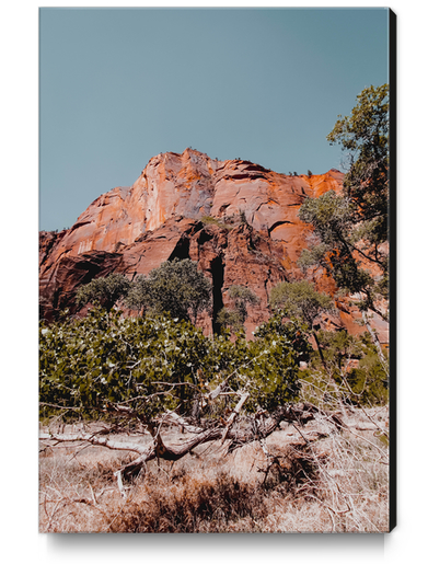 Mountain in the forest at Zion national park Utah USA Canvas Print by Timmy333