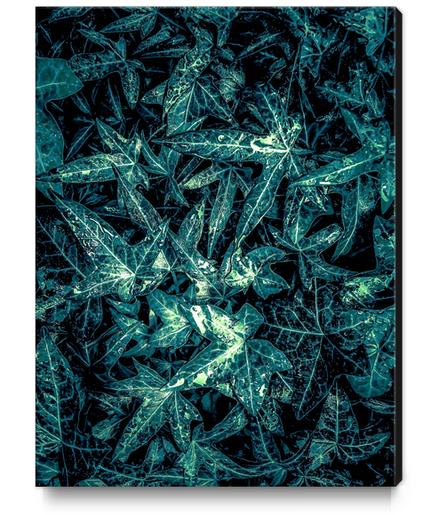 green leaves texture abstract background Canvas Print by Timmy333