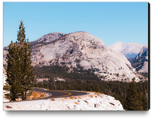 road at Yosemite national park USA Canvas Print by Timmy333