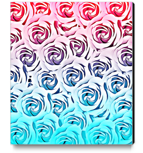 blooming rose pattern texture abstract background in pink and blue Canvas Print by Timmy333