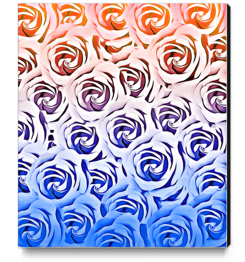 rose pattern texture abstract background in pink and blue Canvas Print by Timmy333