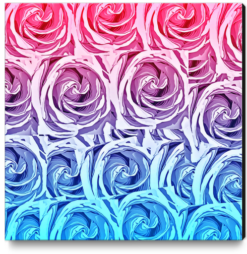 closeup pink rose and blue rose texture pattern abstract background Canvas Print by Timmy333