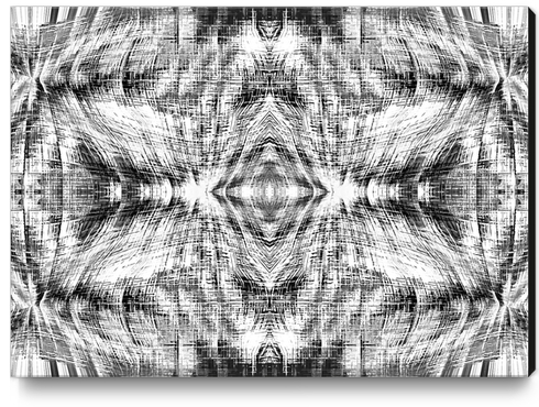 geometric symmetry pattern abstract background in black and white Canvas Print by Timmy333