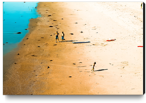 sandy beach and blue water at Manhattan Beach, California, USA Canvas Print by Timmy333