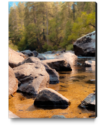 river in the forest and pine tree at Yosemite national park USA Canvas Print by Timmy333