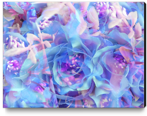 blooming blue rose texture abstract background Canvas Print by Timmy333