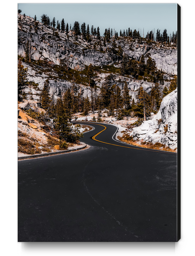 Road to Yosemite national park California USA with mountain view Canvas Print by Timmy333