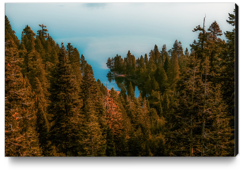 pine tree and lake at Emerald Bay Lake Tahoe California USA Canvas Print by Timmy333