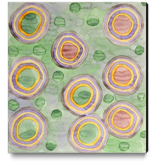 Luminous Ringed Circles on Green  Canvas Print by Heidi Capitaine