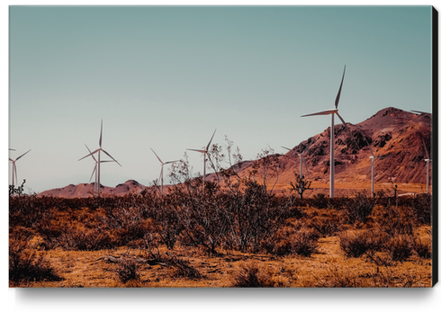 Wind turbine and desert view at Kern County California USA Canvas Print by Timmy333