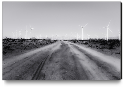 road in the desert with wind turbine in black and white Canvas Print by Timmy333