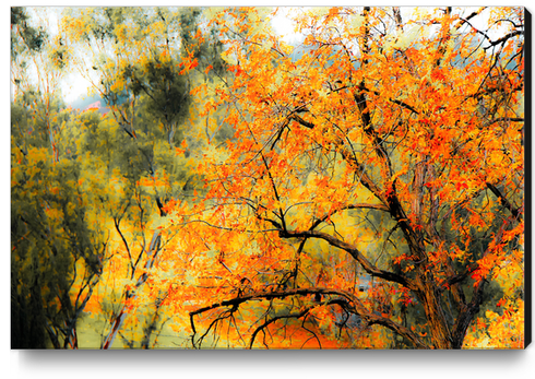 tree branch with autumn leaves and green tree background Canvas Print by Timmy333