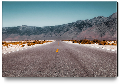 road in the desert with mountain view in California USA Canvas Print by Timmy333