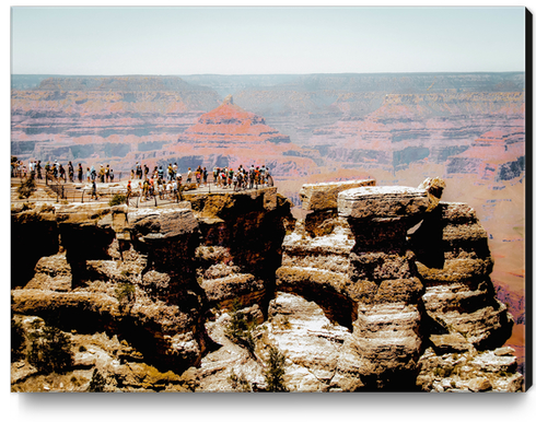 desert at Grand Canyon national park, Arizona, USA Canvas Print by Timmy333