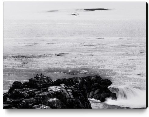 ocean sunset view in California USA in black and white Canvas Print by Timmy333