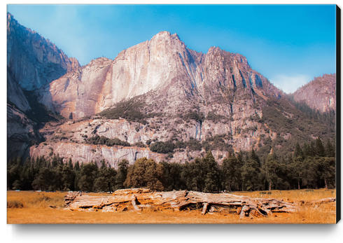 mountain at Yosemite national park California USA Canvas Print by Timmy333