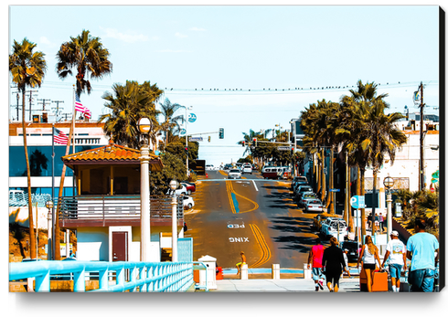 road to the pier with palm tree at Manhattan Beach, California, USA Canvas Print by Timmy333