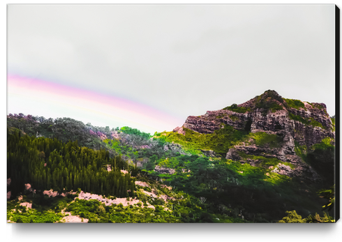 rainbow over the green tropical mountain at Kauai, Hawaii, USA Canvas Print by Timmy333