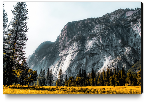 Mountains view at Yosemite national park, California, USA Canvas Print by Timmy333