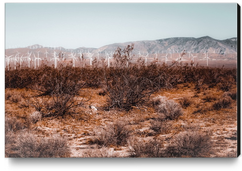 Desert and wind turbine with mountain view at Kern County California USA Canvas Print by Timmy333