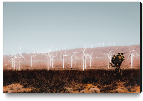 Wind turbine in the desert with blue sky at Kern County California USA Canvas Print by Timmy333