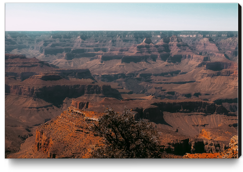 Desert layer at Grand Canyon national park USA Canvas Print by Timmy333