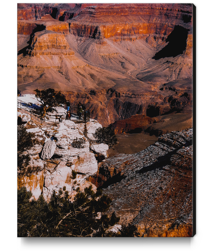 Desert landscape view at Grand Canyon national park, Arizona, USA Canvas Print by Timmy333