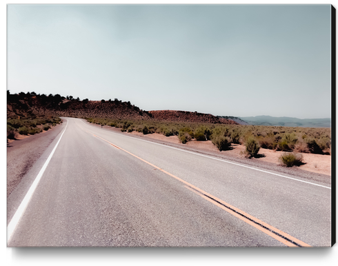 Road with the desert view and blue sky in California USA Canvas Print by Timmy333