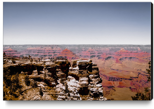 Desert landscape at Grand Canyon national park, Arizona, USA Canvas Print by Timmy333