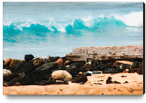 closeup blue wave with sandy beach at Kauai, Hawaii, USA Canvas Print by Timmy333