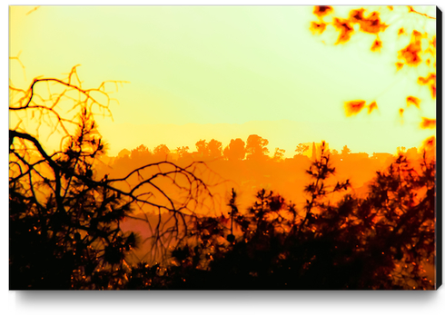 sunset sky in summer with silhouette view at Los Angeles, USA Canvas Print by Timmy333
