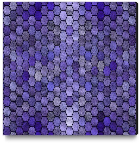 Glitters Honeycomb X 0.2 Canvas Print by Amir Faysal