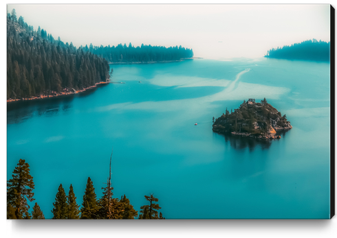 Pine tree and island at Emerald Bay Lake Tahoe California USA Canvas Print by Timmy333