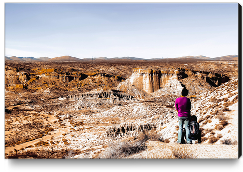 Desert landscape at Red Rock Canyon State Park California USA Canvas Print by Timmy333