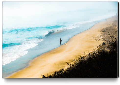 sandy beach and blue ocean at Point Mugu State Park, California, USA Canvas Print by Timmy333